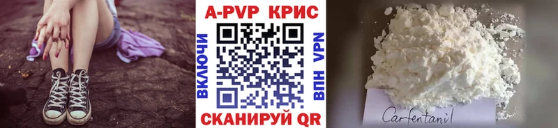 дарнет шоп  МЕГА рабочий сайт  A PVP СК КРИС  Карпинск 