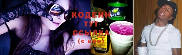 стафф Инта
