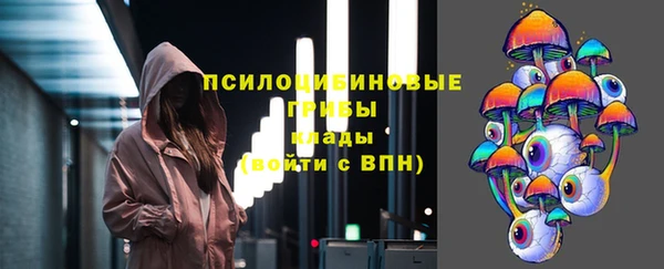 стафф Инта