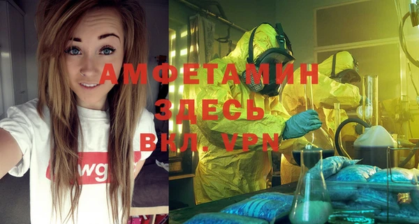 индика Надым