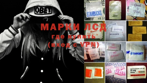 стафф Инта