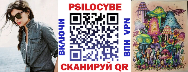 Галлюциногенные грибы Psilocybe Карпинск